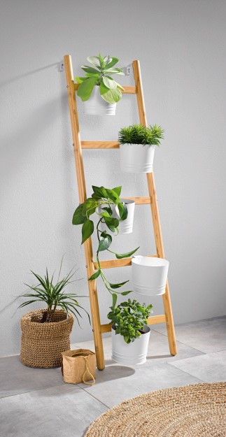 Wooden Ladder Plant Stand with Hanging White Pots for Modern Indoor Gardening