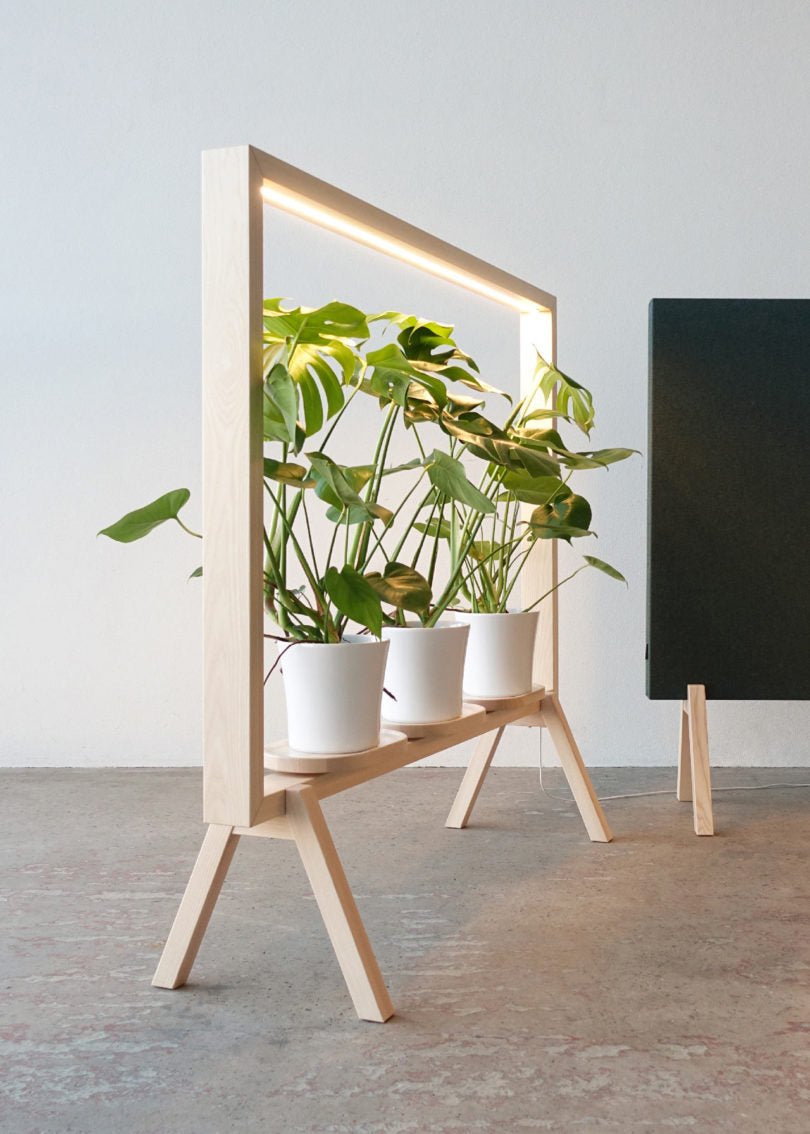 led light plant stand with the space of three planters that gives a perfect look for you home, office etc. this pinewood creation is like a doorway - made of wood, leaf and light.