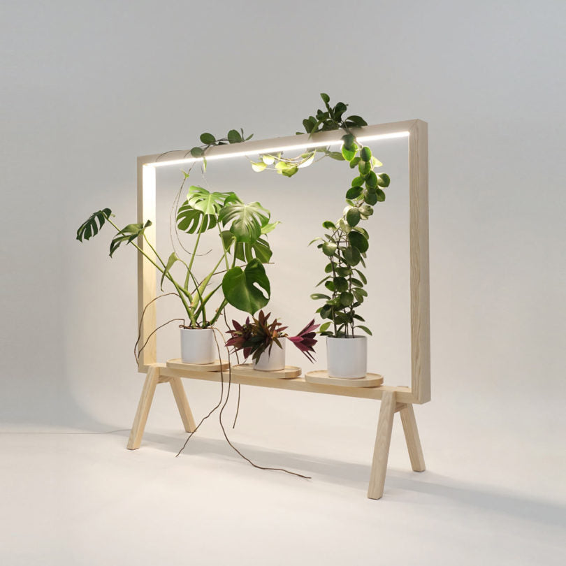 indoor plant stands with lights Elegant Rectangle Wooden Planter Stand with Built-In LED Grow Light for Indoor Plants